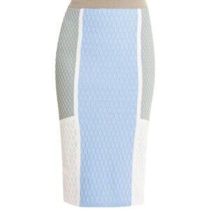 JONATHAN SIMKHAI * Hex Color Blocked Skirt EUC Midi M